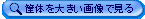 ➑̉摜̊g\