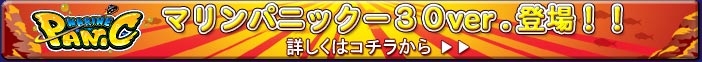 }pjbN-30ver.oII ڂ̓R`